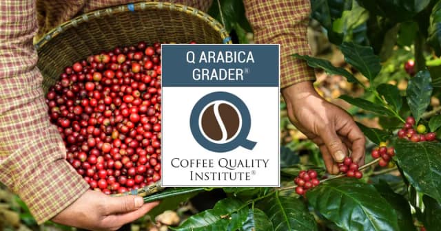 Certificación Q Arabica Grader del fundador e instructor, una de las acreditaciones sensoriales más exigentes de la industria del café.
