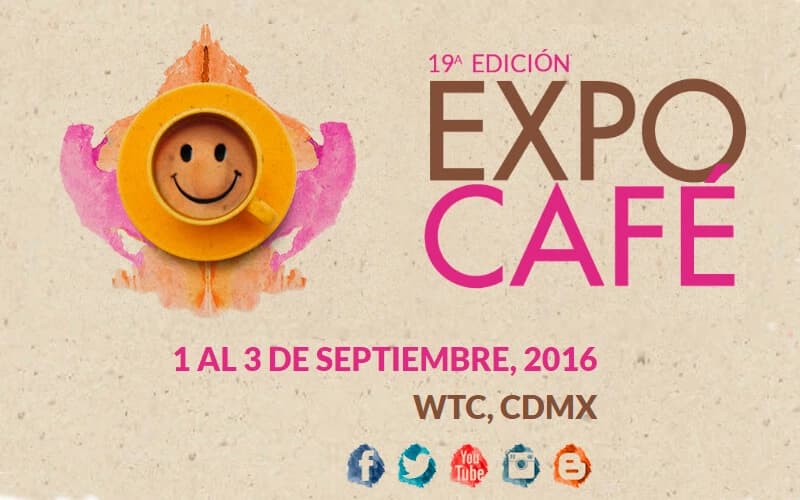 Abre tu cafetería desde cero y conocer más sobre las distintas calidades de café en nuestro curso para abrir tu cafetería desde cero.