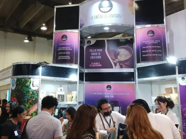Curso oficial de Expo Café 2023, impartido por el equipo de El Café de los Sentidos.